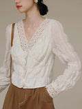 Ava Vintage V-Neck Latern Sleeve Lace Chiffon Blouse